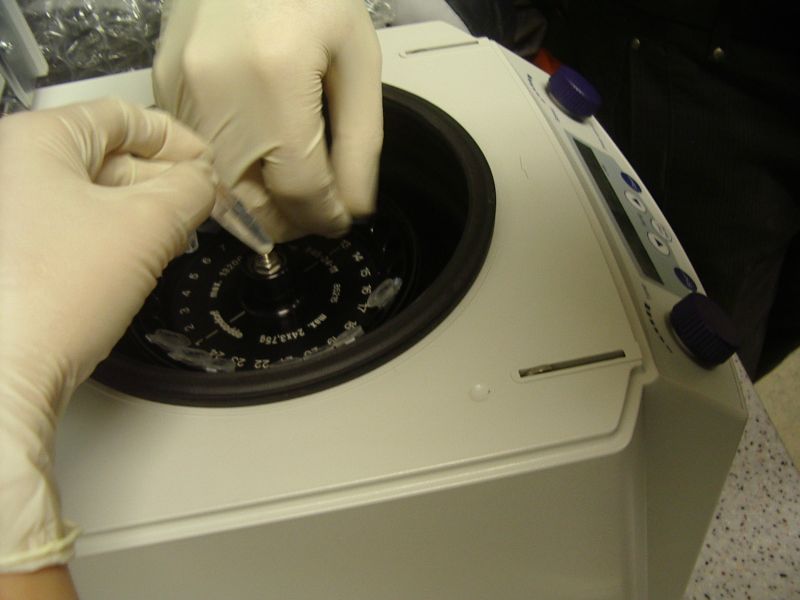 biotehno0910 021.jpg
